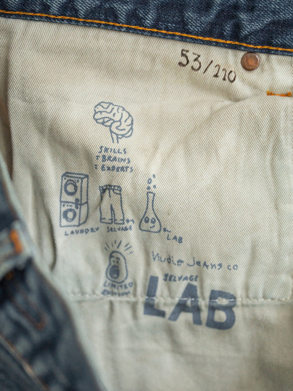 Steady Eddie II LAB 34 - image 4